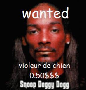 violeur de chiens